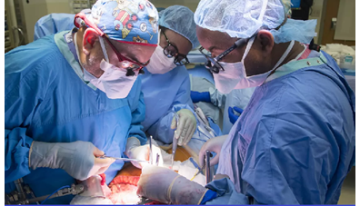 Liver Transplant Surgery